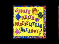 pochette album Bear up bison