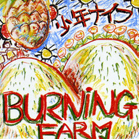 pochette album Burning farm