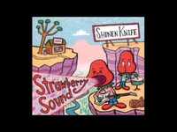 pochette album Mosquitoes