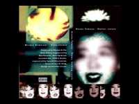 pochette album Neon zebra