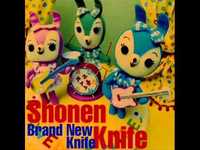 pochette album The perfect world