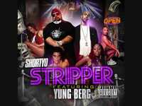 pochette album Stripper