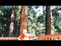 pochette album Mexico