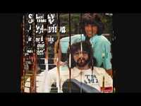 pochette album Je ne fais que passer