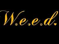 pochette album I won't go