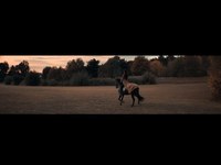 pochette album Il faut vivre