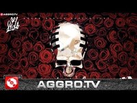 pochette album Steig ein