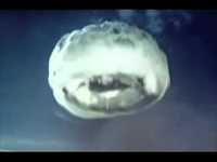 pochette album Hljomalind