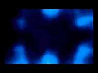 pochette album Lost is my name