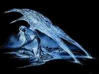 pochette album Shame forever mine