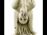 pochette album Follow me into the night