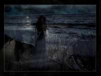 pochette album Blackbird