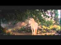 pochette album Caballo mistico