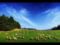 pochette album El pintor de las mujeres soles