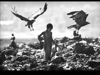 pochette album En mi calle