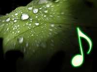 pochette album Gota de rocio