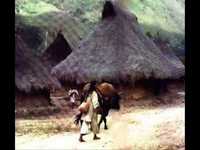 pochette album Me acosa el carapalida