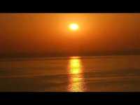 pochette album New gold dream (81-82-83-84)