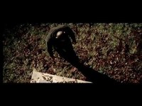 pochette album De tout la haut