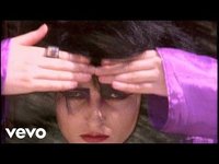 pochette album Dear prudence