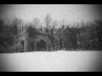 pochette album Driven like the snow