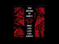 pochette album First and last and always