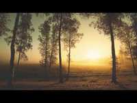 pochette album Horse head