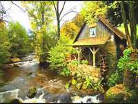 pochette album The mill wheel