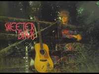 pochette album California uptight band