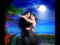 pochette album In the misty moonlight