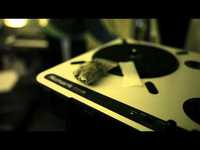 pochette album Fly by