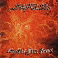 pochette album The one piece puzzle