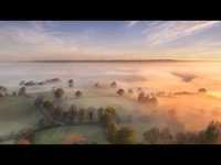 pochette album Venus