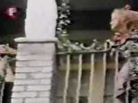 pochette album Instant hit