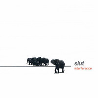 pochette album Evergreen