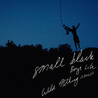 pochette album Boys life