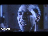 pochette album Blood and roses