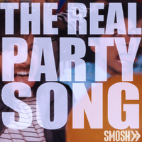 pochette album The real party song