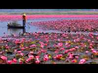 pochette album Jap man sat nam