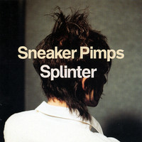 pochette album Splinter