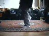 pochette album Balls of steel