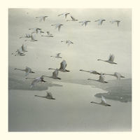 pochette album And the world was gone