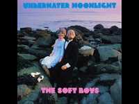 pochette album Insanely jealous