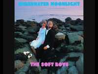 pochette album Old pervert