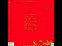 pochette album Mrself destruct