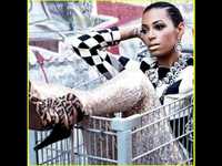 pochette album White picket dreams