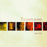 pochette album If i give my heart to you