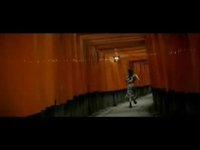 pochette album Daylight