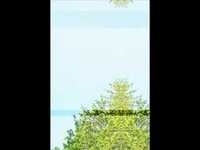 pochette album Hell no