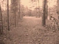 pochette album Neutral